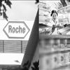 跨國醫(yī)藥巨頭：夢想能否變成現(xiàn)實(shí)？